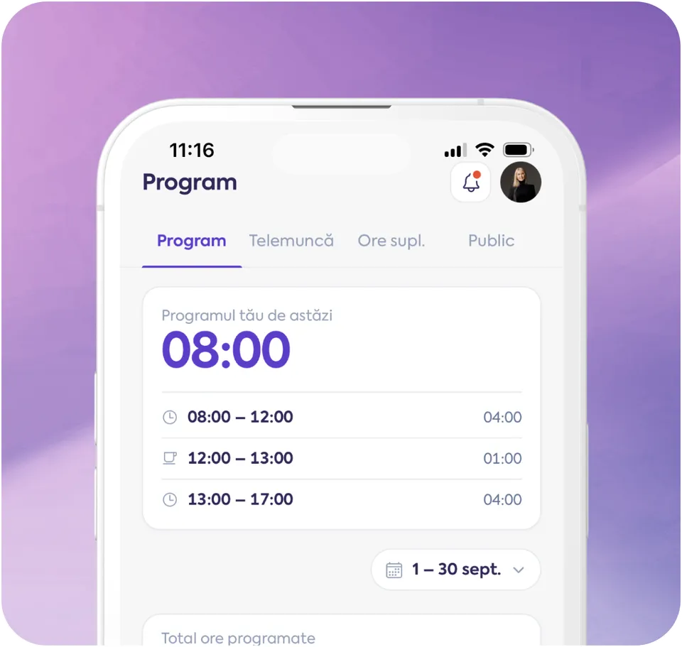 Papervee - Program de lucru